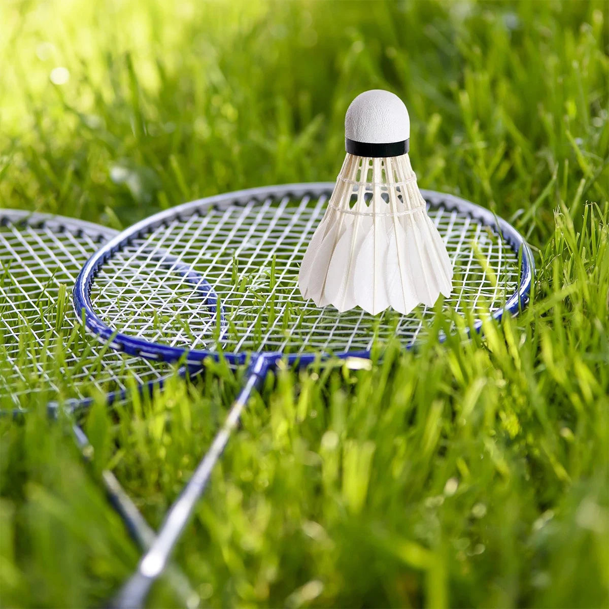 3Pcs Badminton Shuttlecocks Professional White High Speed Badminton Ball For Game Training Sport Practice Youth Wholesale